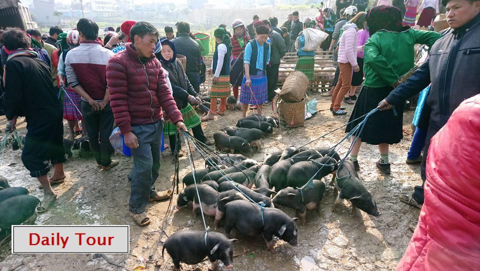 Ha Giang Amazing Hostel Kültér fotó